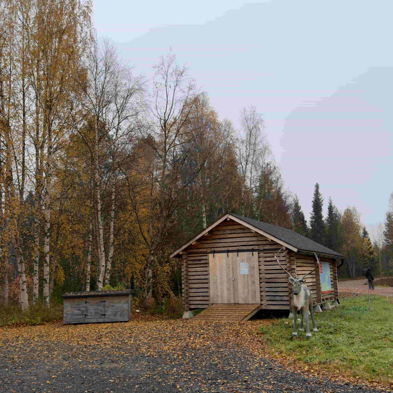 Apukka