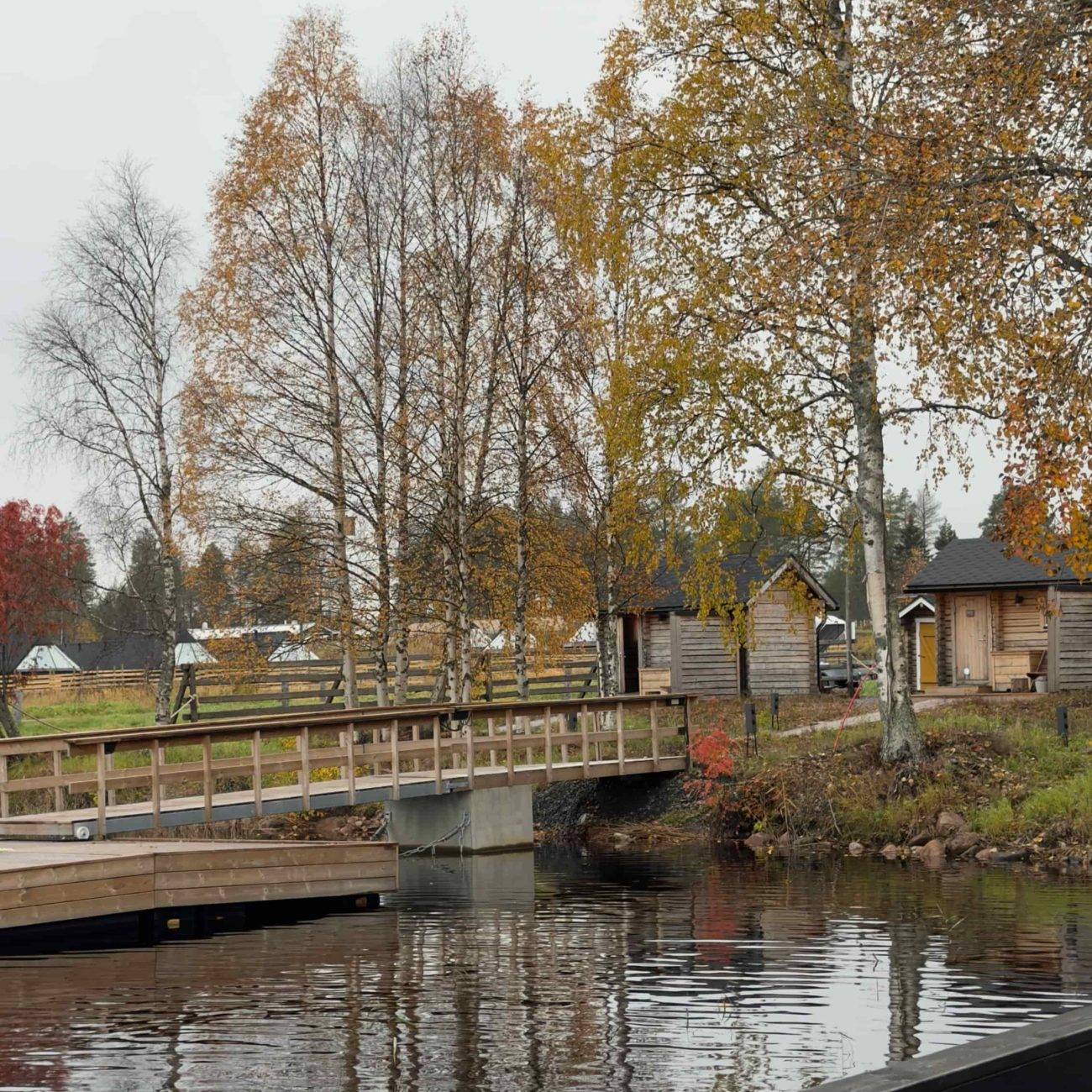 Apukka